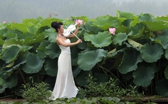 97人妻久久久精品系列A片